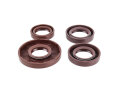 Simmerringe f&uuml;r Simson S51, S53, S70, S83, SR50, KR51/2 zum Motor - FKM/FPM Wellendichtringe