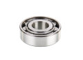 Zylinderrollenlager N 304-E zum Ritzel f&uuml;r BMW R25, R25/2, R25/3 - separater Au&szlig;enring