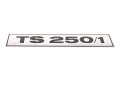 Abziehbild Schriftzug für MZ TS 250/1 für Seitendeckel - schwarz auf chrom