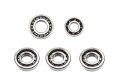 Kugellagersatz SKF - Motor & Getriebe für IFA, MZ RT 125/1,2 - 5-teilig