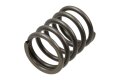 Ventilfeder au&szlig;en (gro&szlig;) f&uuml;r BMW R50, R50/2, R60, R60/2