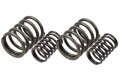 Ventilfedernsatz für BMW R51/2, R51/3, R67, R67/2, R67/3