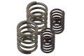 Ventilfedernsatz für BMW R50, R50/2, R60, R60/2
