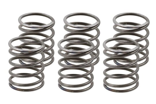 Kupplungsfedern für BMW R5, R6, R51, R61, R66, R71, R51/2, R51/3 - im Satz
