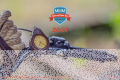 MMM - Kalender 2027