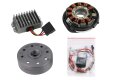 VAPE Lichtmaschine f&uuml;r AWO 425 Touren, AWO 425 Sport - 12V / 150 W