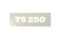 Schriftzug (Lackierschablone) für Werkzeugkasten MZ TS 250