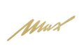 Schriftzug in Gold f&uuml;r NSU MAX